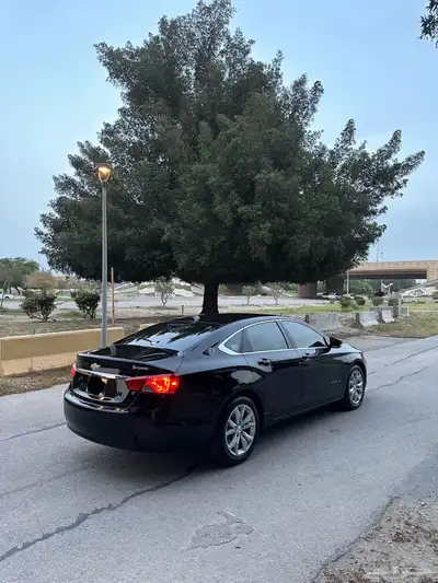 امبالا LT 2019 index