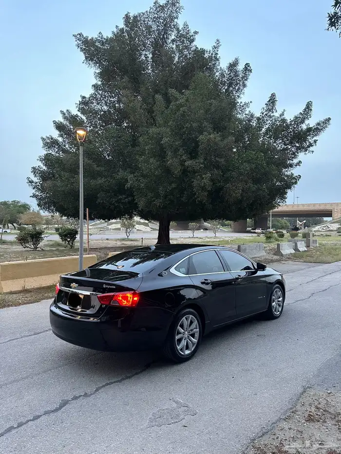 امبالا LT 2019 2