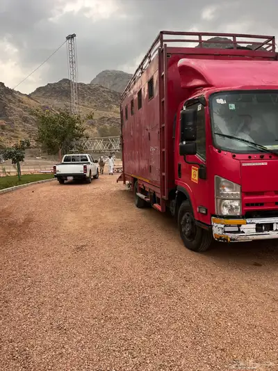 عربه نقل خيل متواجدة جدة 0