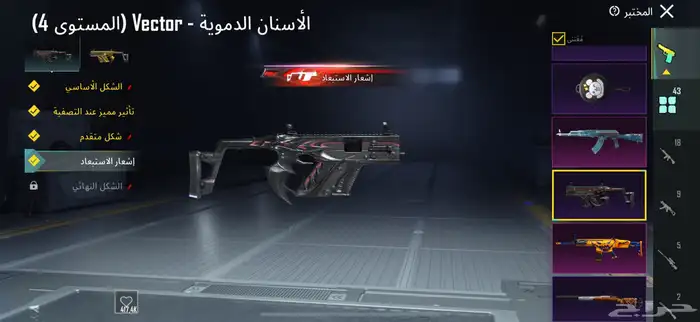 حساب ببجي 12