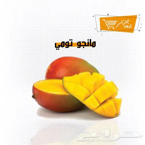 مانجو جازان الطعم الحقيقي من مزارعنا لكافة أنحاء المملكة 1