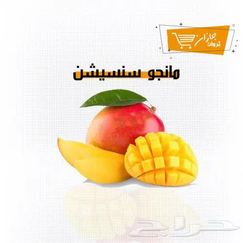مانجو جازان من مزارعنا لكافة أنحاء المملكة 4