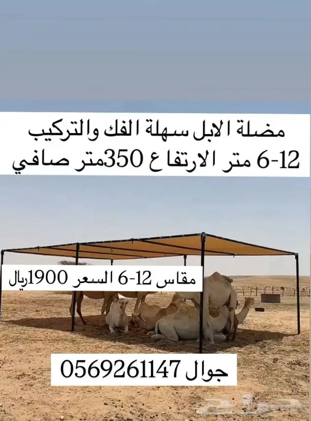 مضلة الابل 0
