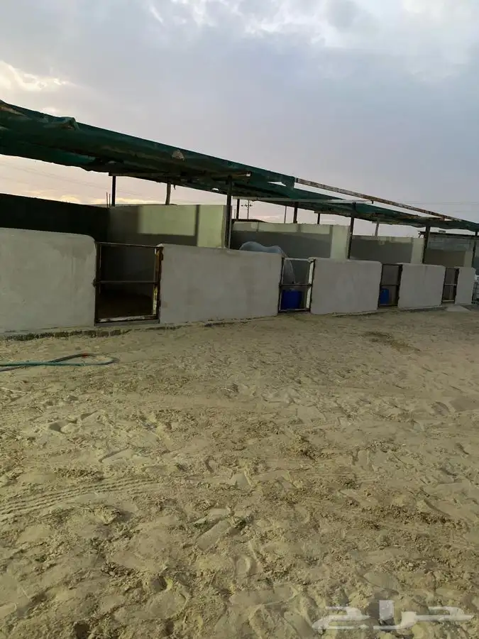 ايواء خيل 1