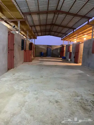 ايواء خيل 2