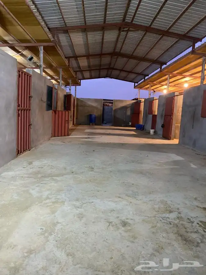 ايواء خيل 2