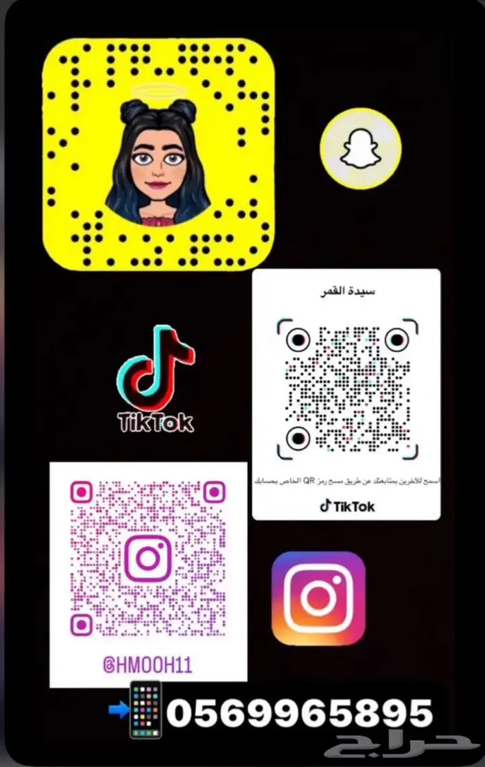 للبيع ببغاء الروز الاليف 8