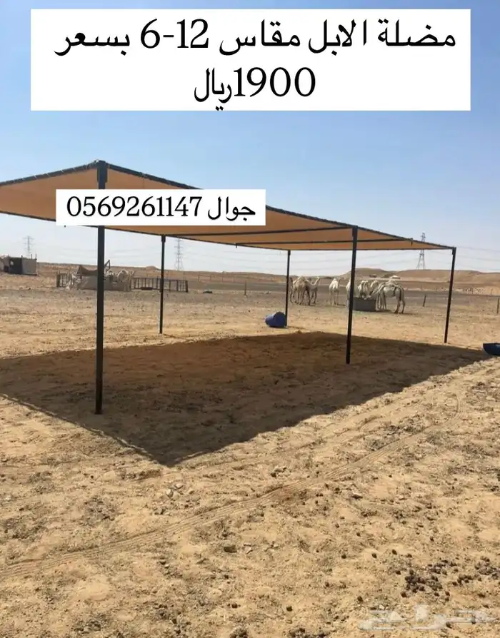 مضلة الابل 2