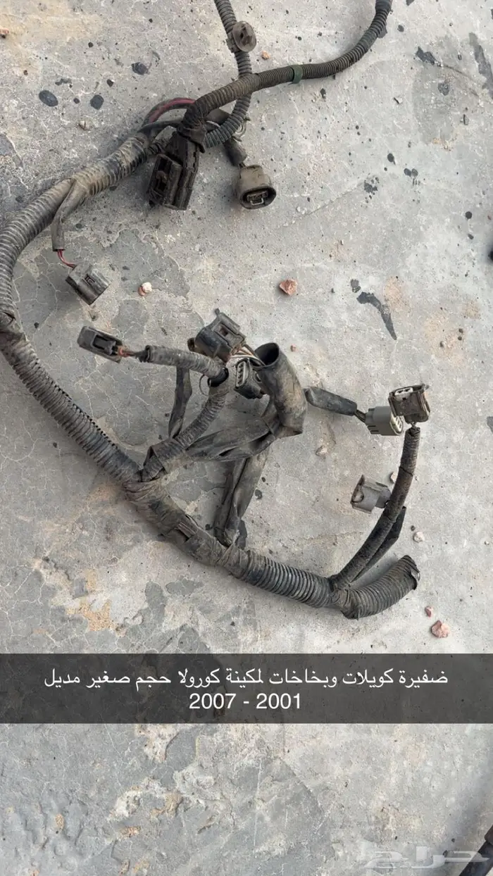 ضفيرة كورولا 0
