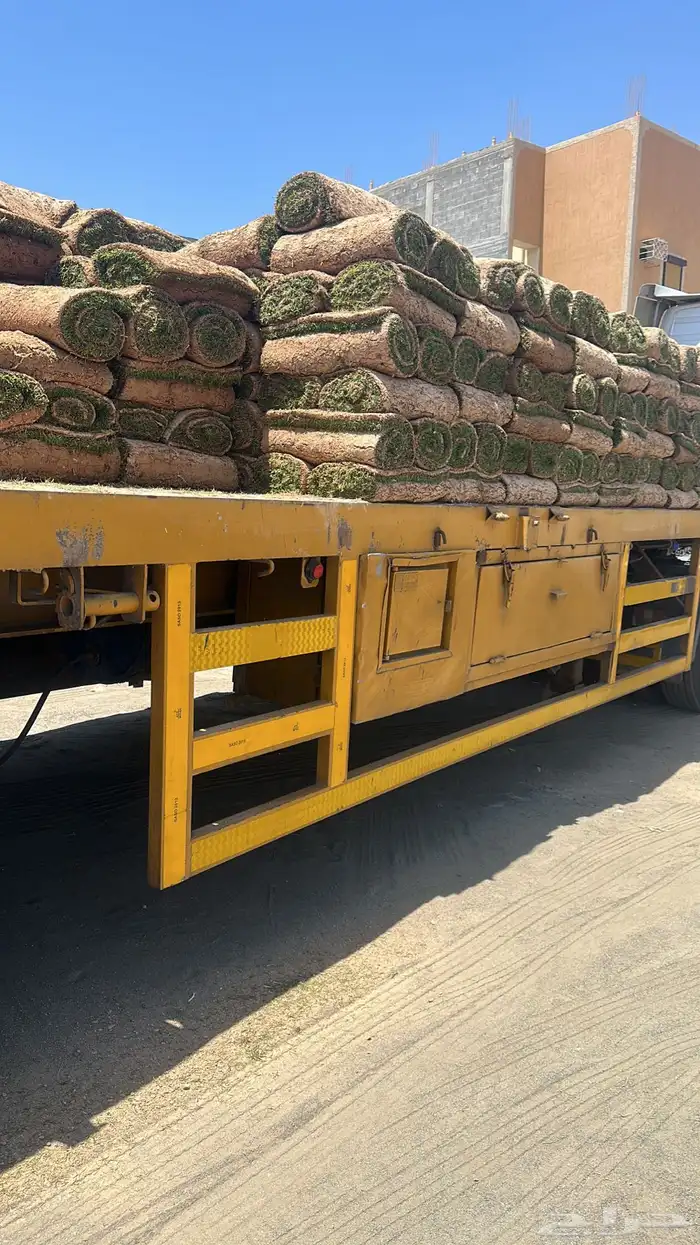 عشب طبيعي C2000 مقاوم للملوحة 11