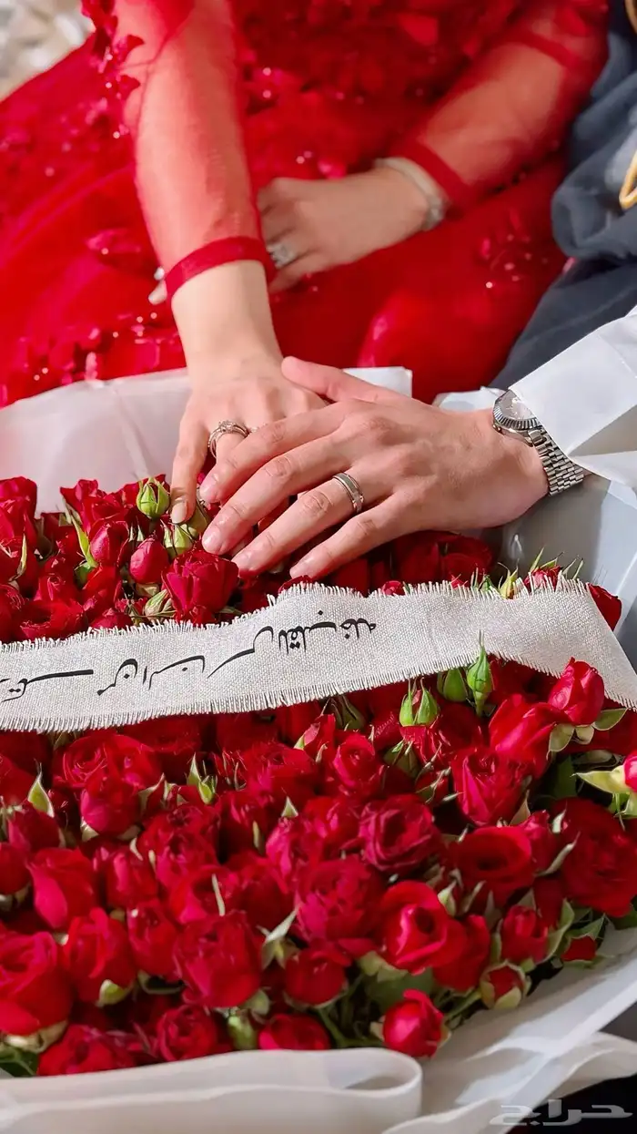 مصوره جوال الأعراس باقل الأسعار 15