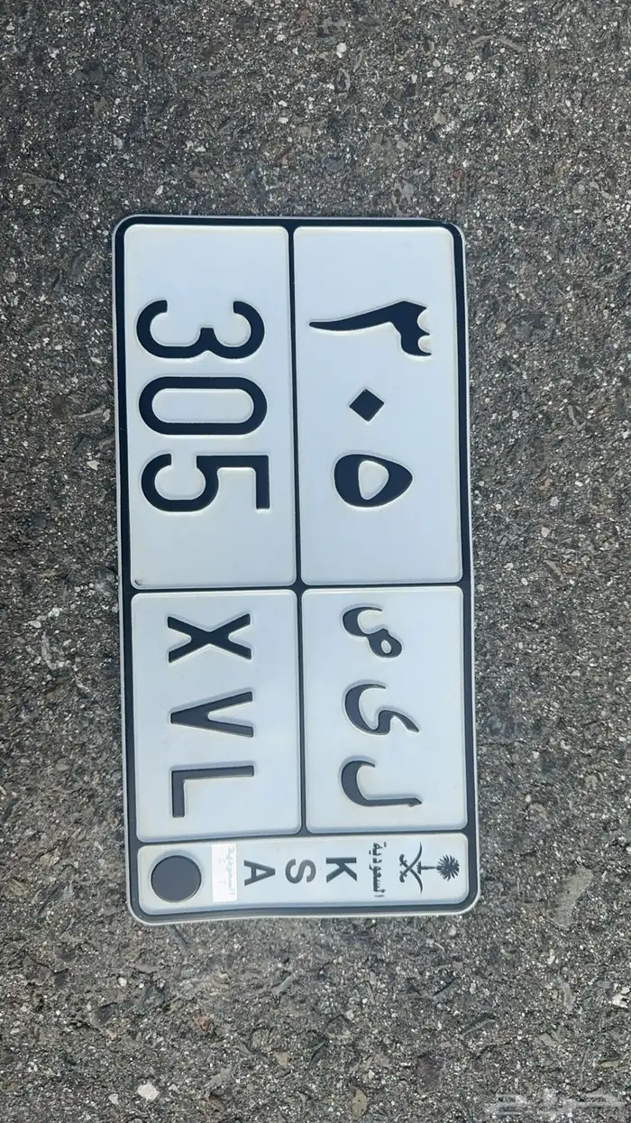 لوحة 305 ل ى ص 0