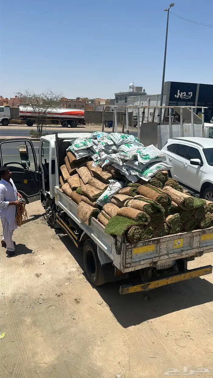 عشب طبيعي C2000 مقاوم للملوحة 9