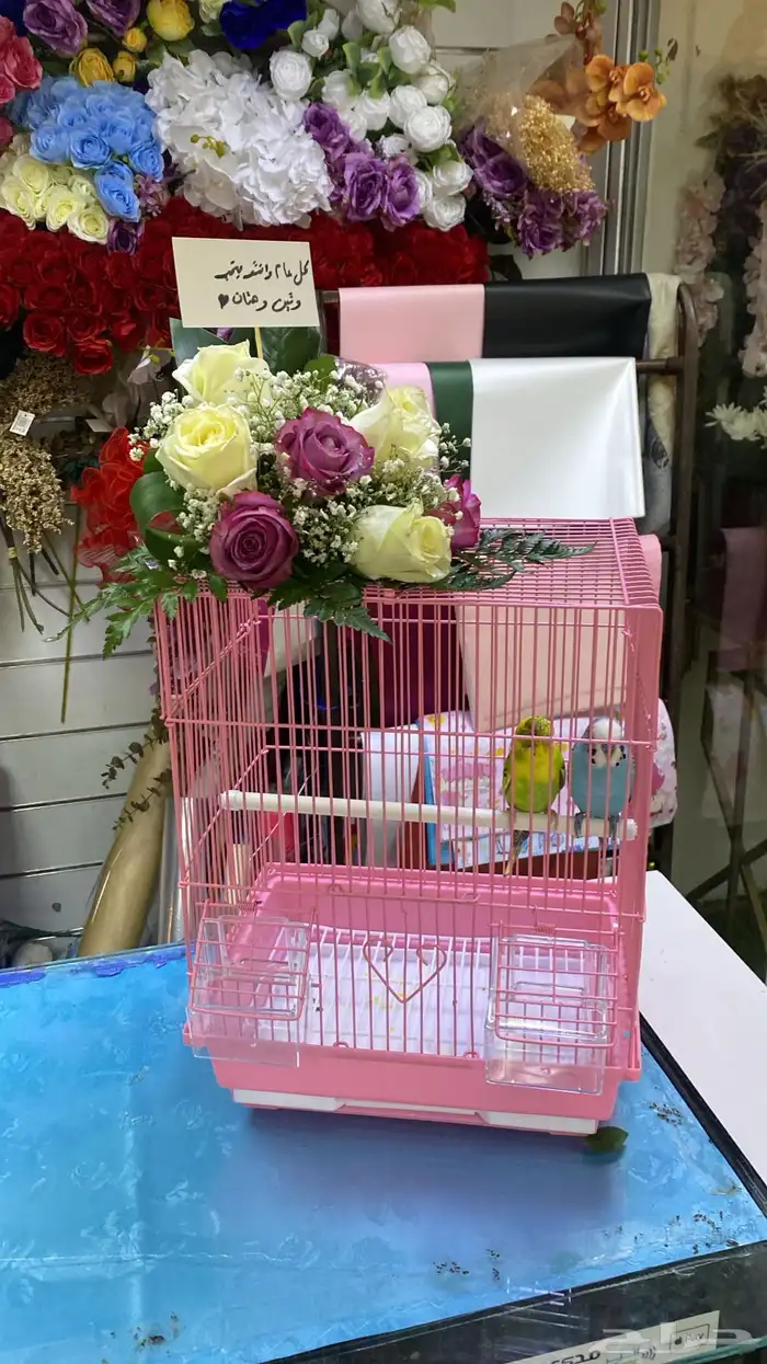 مندوب هدايا جدة تنسيق باقات ورد وهدايا 4