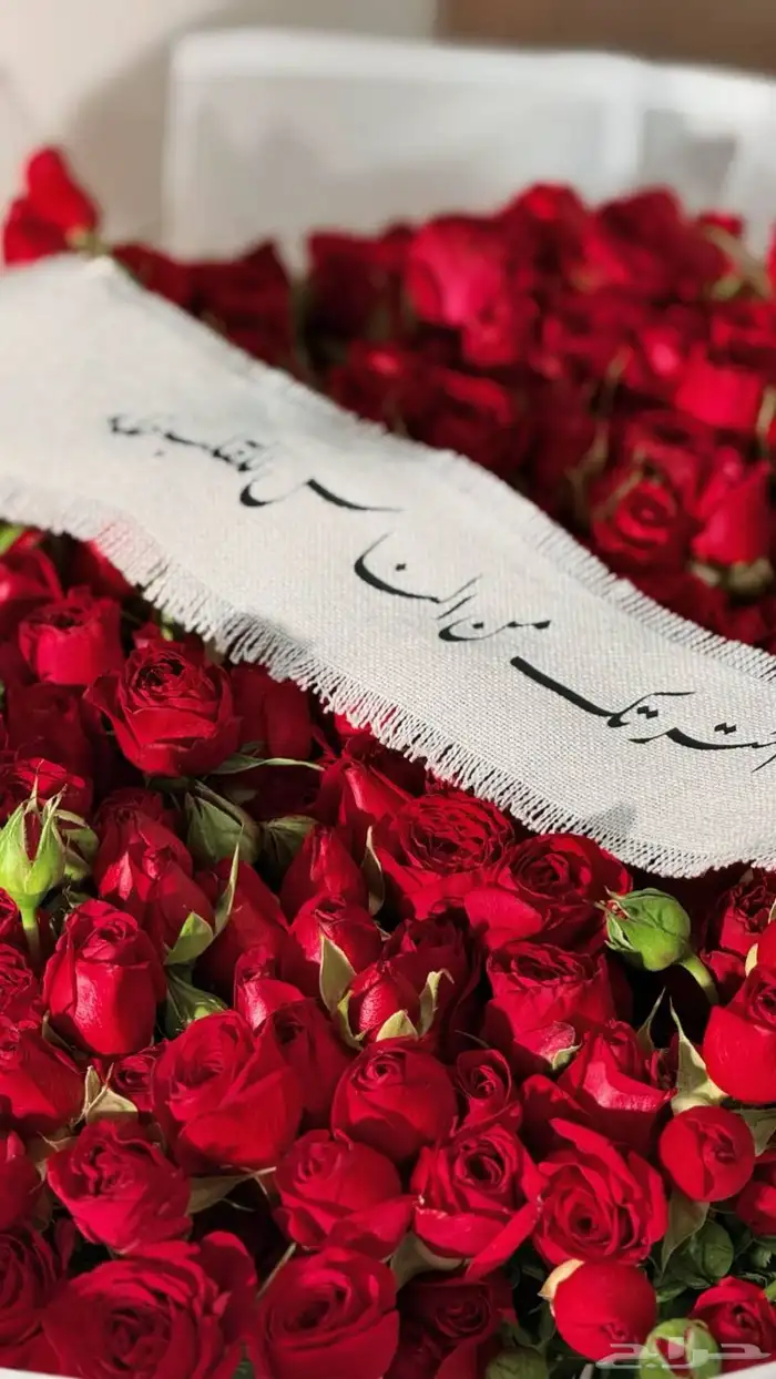 مصوره جوال الأعراس باقل الأسعار 6