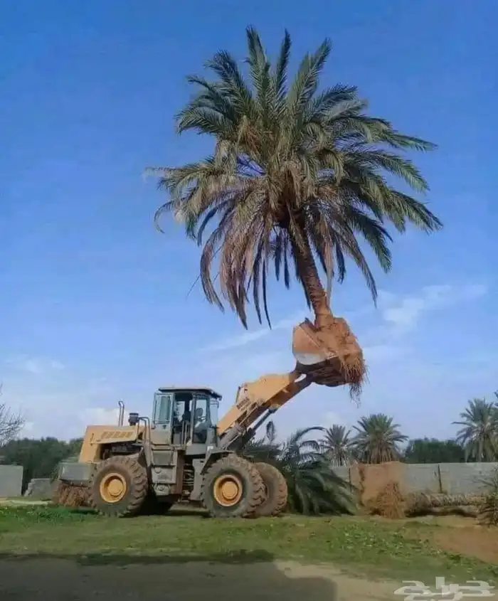 قلابات سكس وشيولات وتريلات وبوكلين وقلاب دينه للأيجار مكة 7