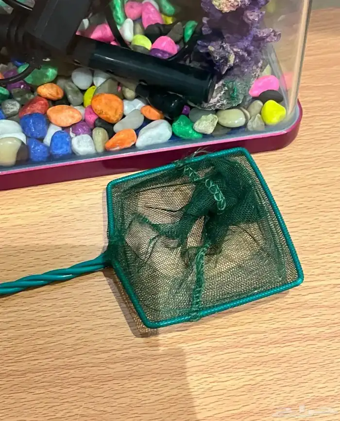 حوض سمك مع شبكة 2