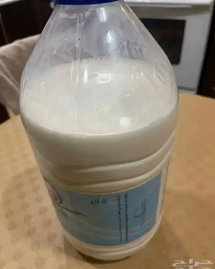 يتوفر حليب ماعز يومي كم يوجود لبن شرط نظافه 1
