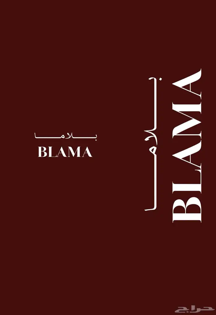 هويات بصريه 13