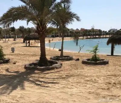شاليه درة العروس عروض تبدأ من 500 ريال وسط الاسبوع 60