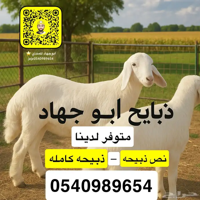 ذبايح طيبه للثلاجه وسط وكبار حريات 0