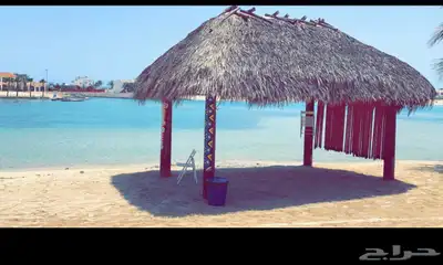 شاليه درة العروس عروض تبدأ من 500 ريال وسط الاسبوع 50