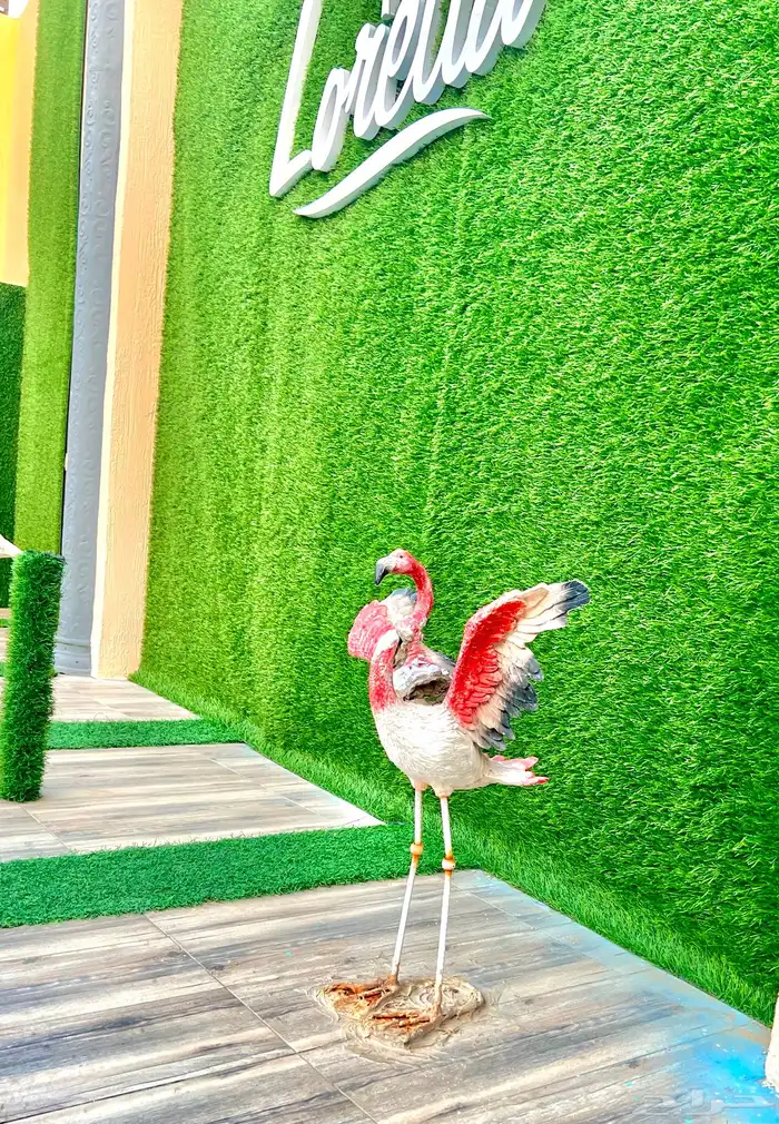 شاليه شاليهات استراحات لوريتا 8