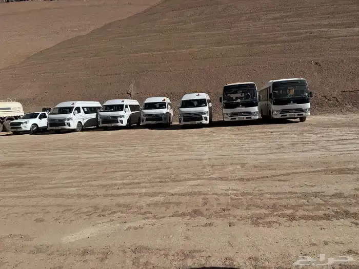 اجار باصات 8