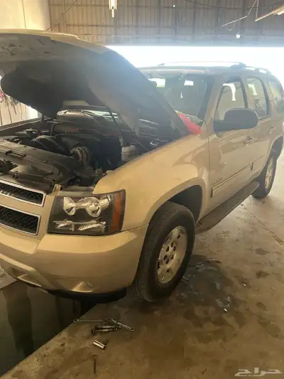 اصلاح الدود الدركسيون 0