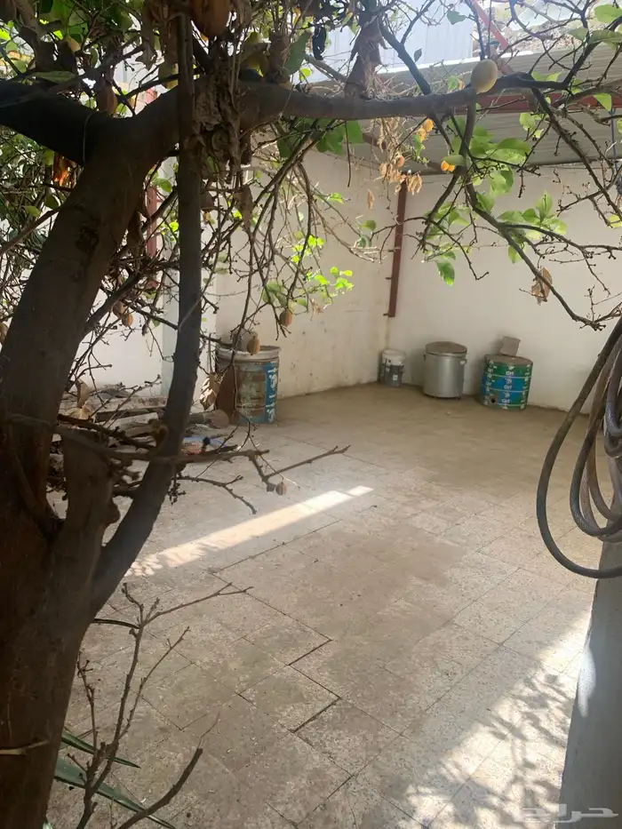 بيت للايجار 20