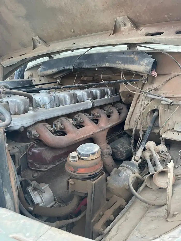 وايت بوز عايدي 24 9