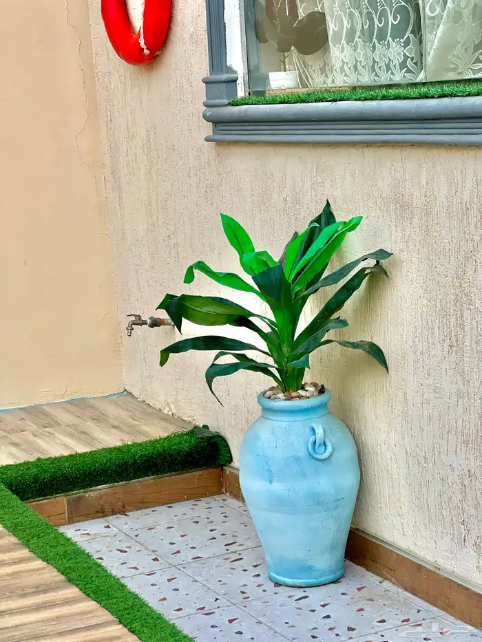 شاليه شاليهات استراحات لوريتا 4