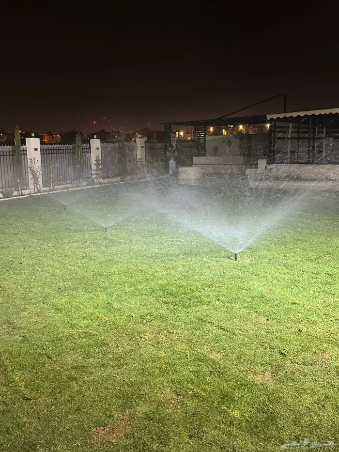 عشب طبيعي C2000 مقاوم للملوحة 15