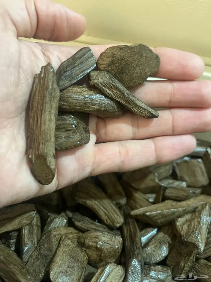مروكي طبيعي محسن فاخر 0