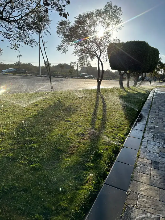 عشب طبيعي C2000 مقاوم للملوحة 18