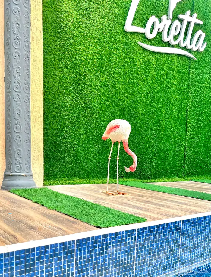 شاليه شاليهات استراحات لوريتا 6