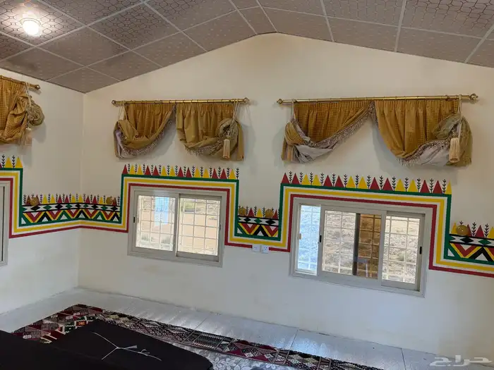 القط العسيري الوان الجنوب 0
