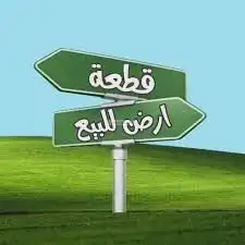 أرض للبيع المدينة المنورة الملك فهد مفرزة 1