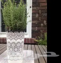 حامل شموع من ايكيا واحواض زرع صغيرة 40 ريال 1