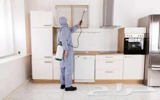 شركة مكافحة حشرات وعزل أسطح بالاحساء 5