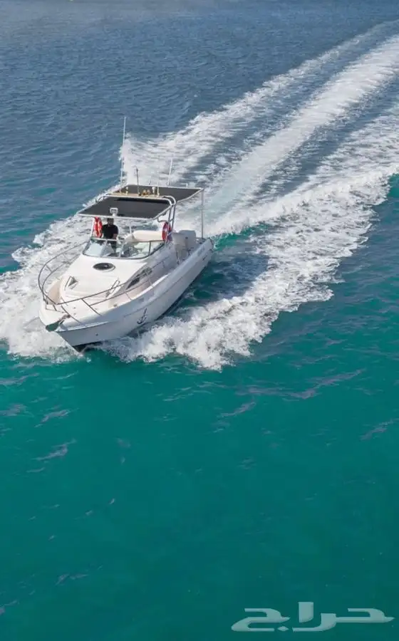 للبيع ميني يخت سلفر كرافت 34 قدم 10
