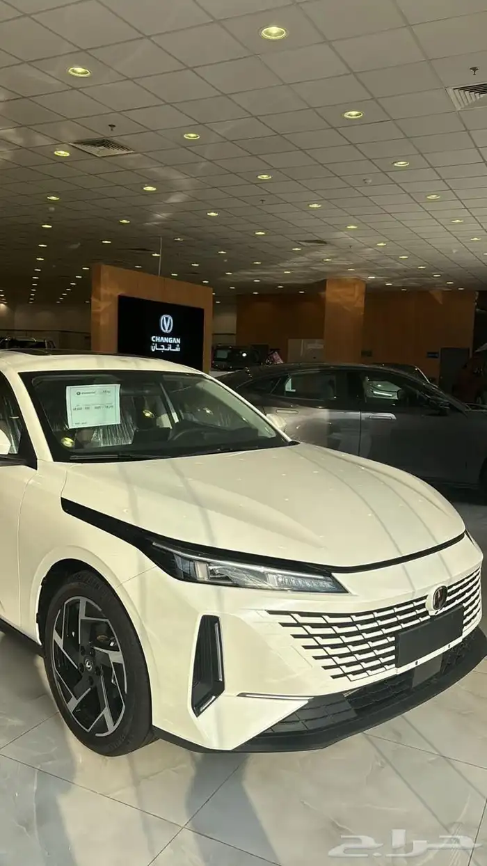شانجان ايدو بلس 2025 19
