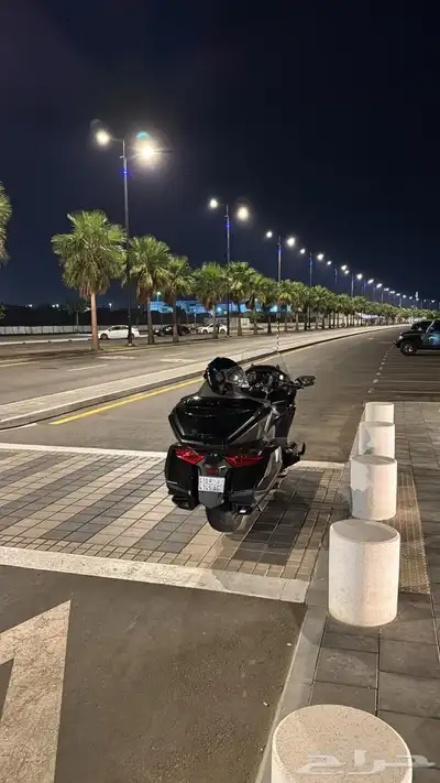 قولد وينق 2022 7