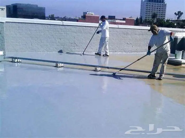 شركة مكافحة حشرات وعزل أسطح بالاحساء 3