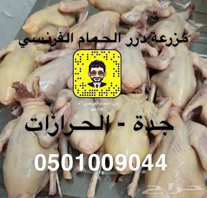 زغاليل حمام فرنسي شحم 0