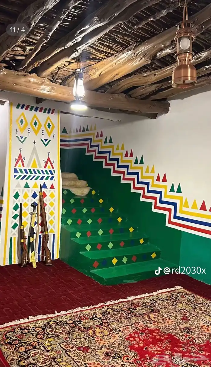 القط العسيري الوان الجنوب 3
