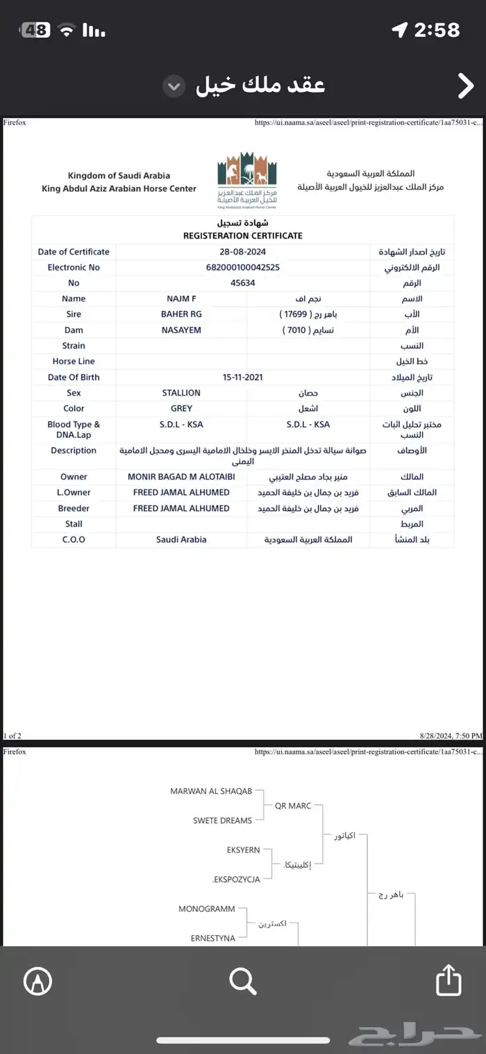 حصان واهو 5