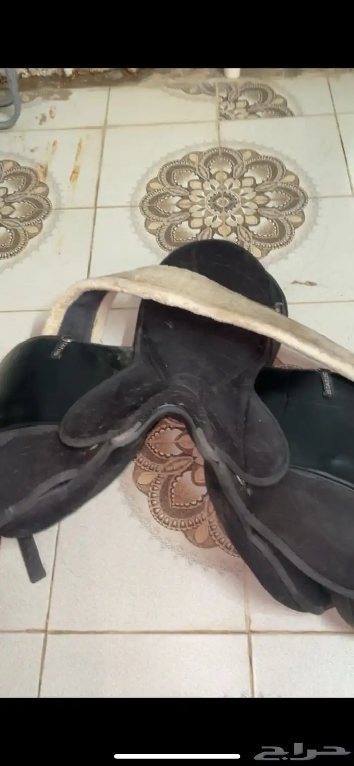سرج ستيوتس 0