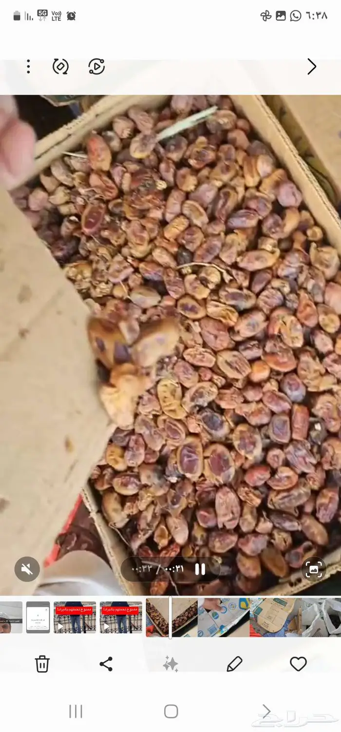 تمر اعلاف 4