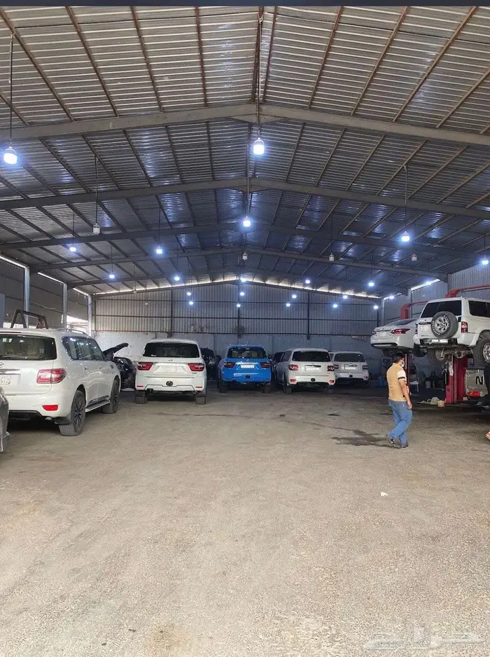 جلد مقصات ضمان سنة كاملة يوجد تابي - تمارا 11